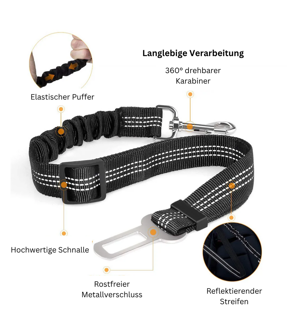 Autosicherheitsgurt